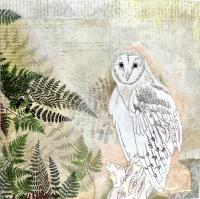 Moondance (Owl) by Susan Freedman