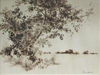 Single Tree by Eugene Bennett