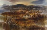 Untitled (Wetlands) by Jean Schwalbe