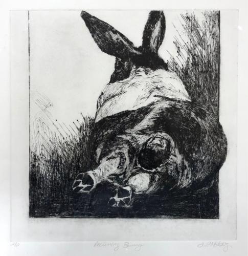 Reclining Bunny by Jani Hoberg