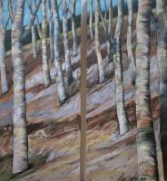 Birch Trees by Liisa Rahkonen