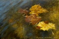 Unknown (Floating Leaves) by Rachael Bourdet