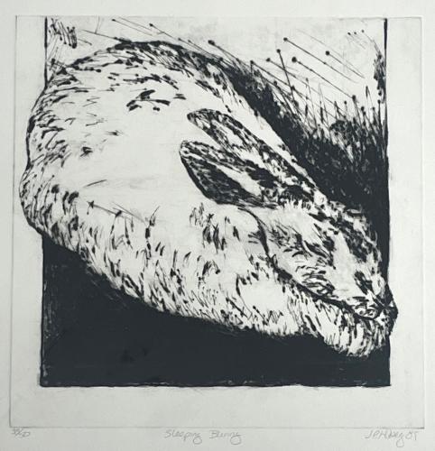 Sleeping Bunny by Jani Hoberg