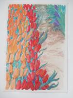 Tulip Series by Ann Ruttan
