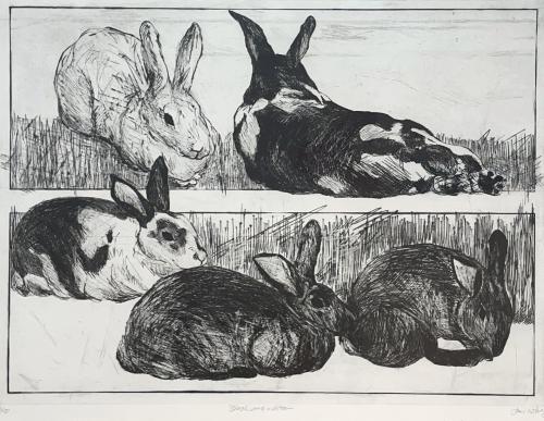 Black and White (bunnies) by Jani Hoberg