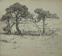 Dune trees/Crescent City by Melville%20Wire