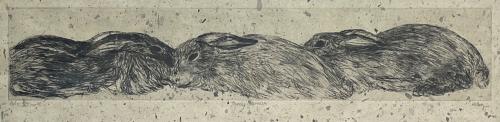 Three Bunnies by Jani Hoberg
